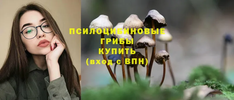 Галлюциногенные грибы Psilocybine cubensis Тетюши